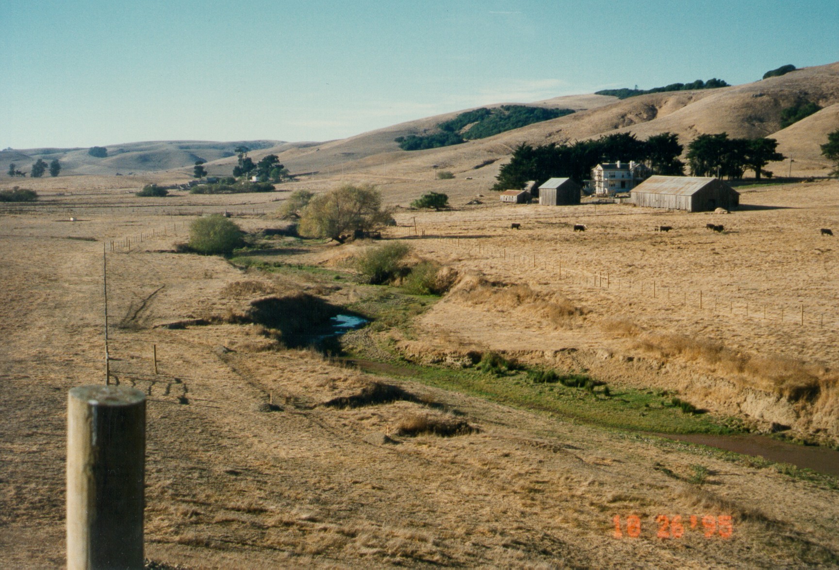 Riparian Planting Before restored gully_before_Gale