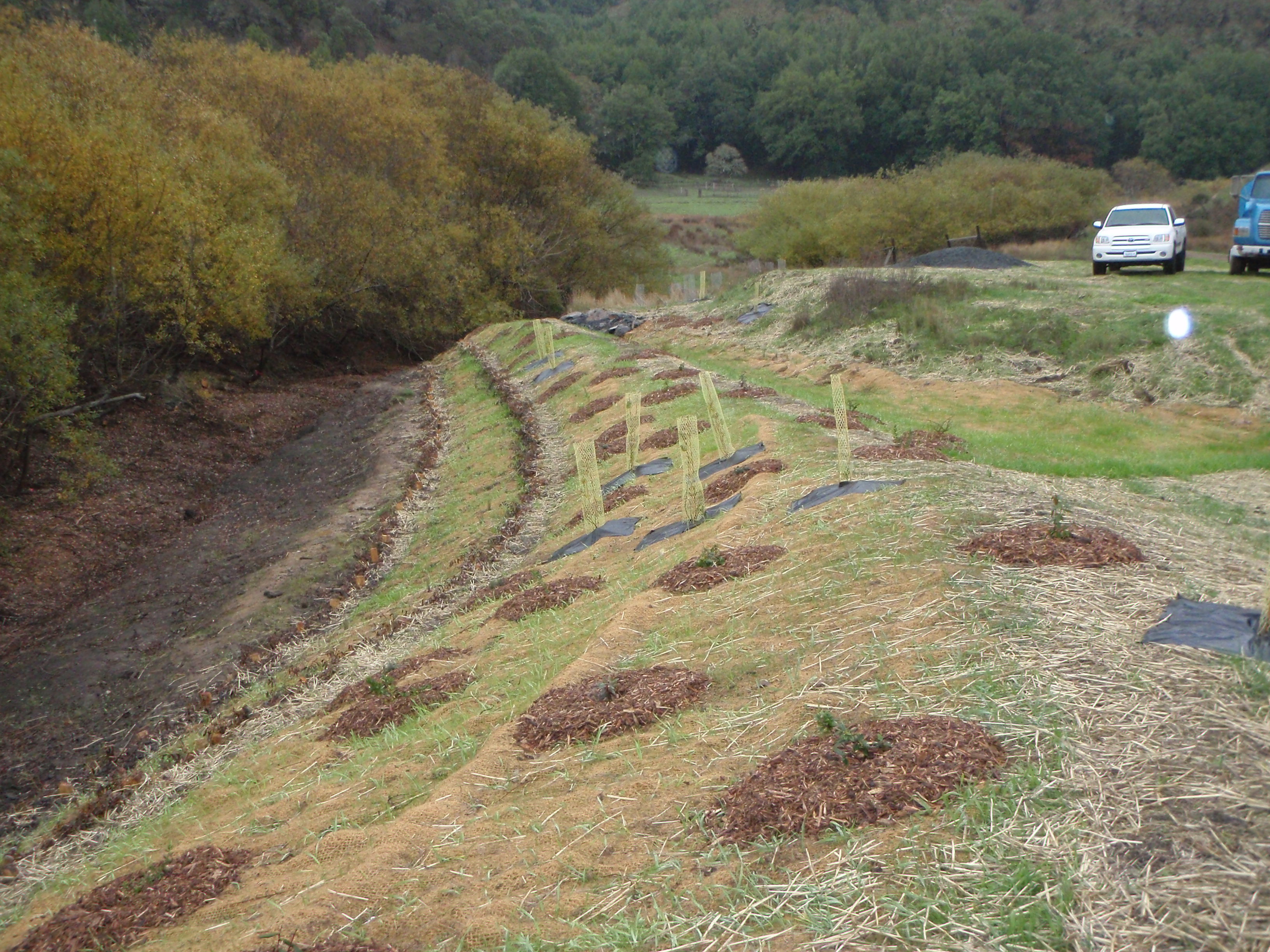 Streambank Repair After OLYMPUS DIGITAL CAMERA