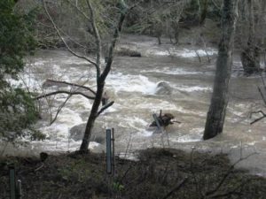 Stream Gage in Samuel P Taylor State Park at 2,500 cfs