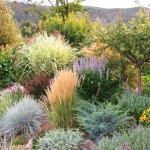 Xeriscaped Landscape by Artfulgardens.net