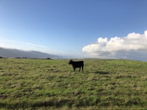 IMG_0410
