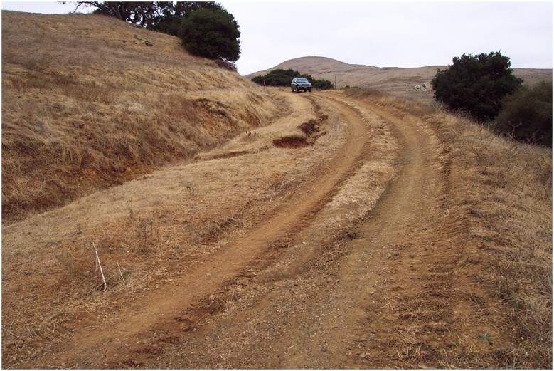 A dirt road in a brown grassy area is ditched, gullied, deeply rutted, and bermed