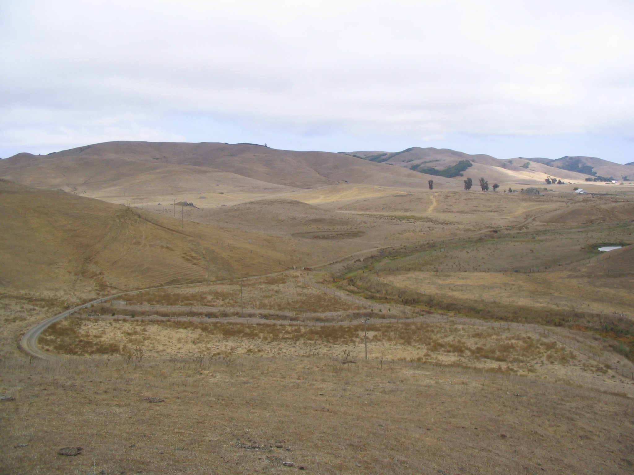 A bright but clouded day in the Marin hills is shown. All the fields and hills are brown (indicating season), with some patches of trees and shrubs. In the foreground, a flat part of the landscape shows a road curving around what seems like a dried-up stream. No large plants grow by the stream.