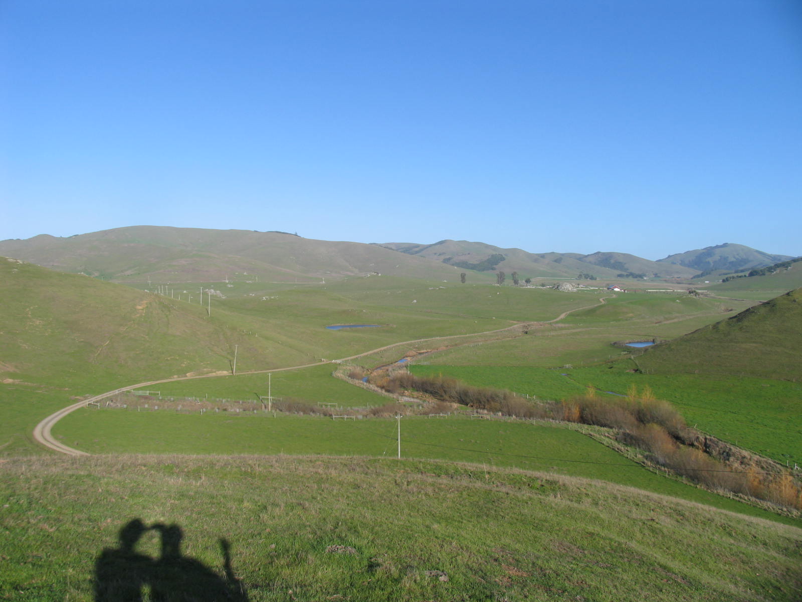 A bright blue-sky day in the Marin hills is shown, from the same location as the previous image. All the fields and hills are green, vibrant with growing grass, and some patches of trees and shrubs remain. Noticeably different is how the creek area in the foreground has been planted, with fences around new trees.