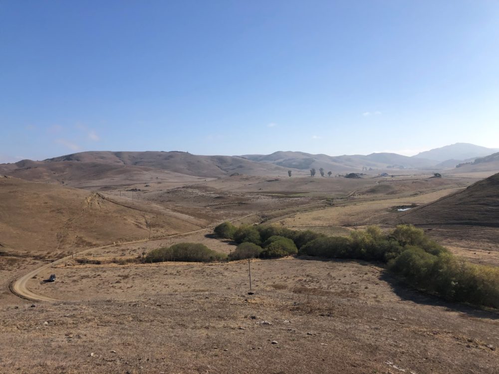 A bright blue-sky day in the Marin hills is shown, from the same location as the previous two images. All the fields and hills are brown (indicating season), and some patches of trees and shrubs remain. The creek area trees have grown substantially, and look bushy and green.