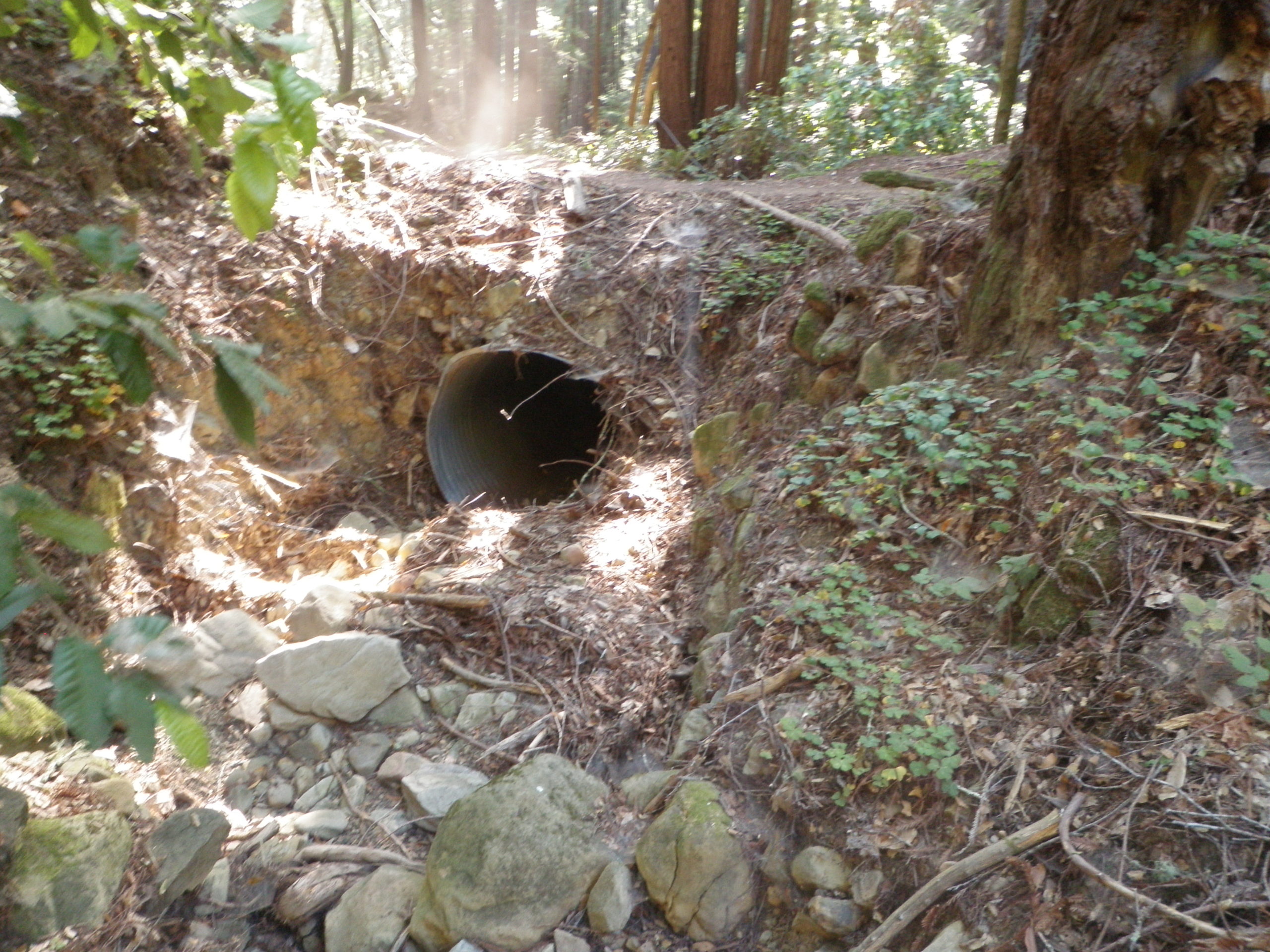  A dirt road has a culvert under it, which seems dilapidated. 