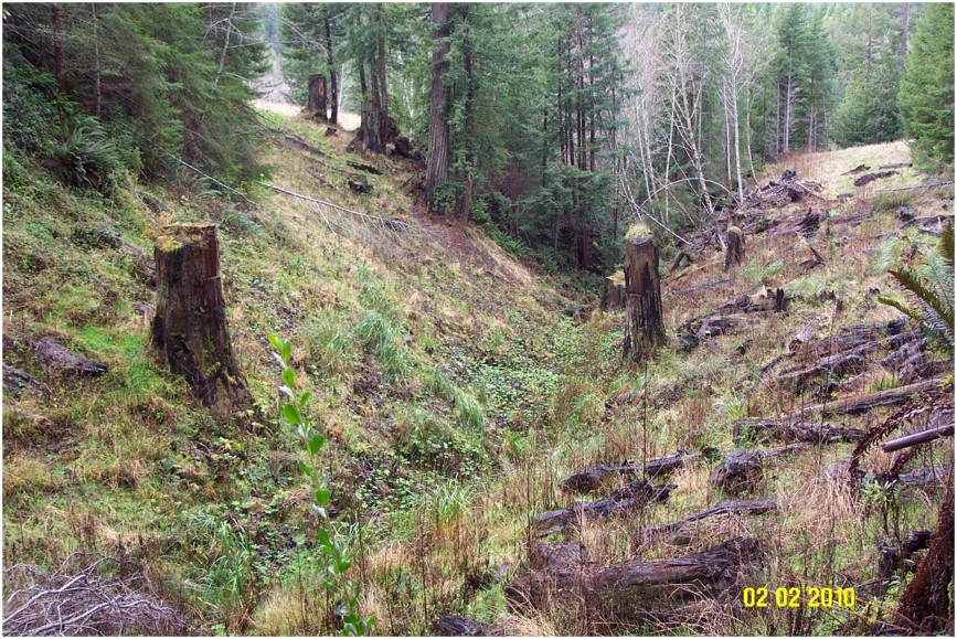 In the same steep bank area, vegetation has started to grow, and it no longer looks like it is under construction.