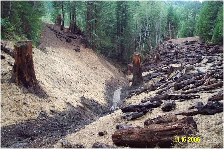 The steep banks next to the road are covered with straw and dead logs.  