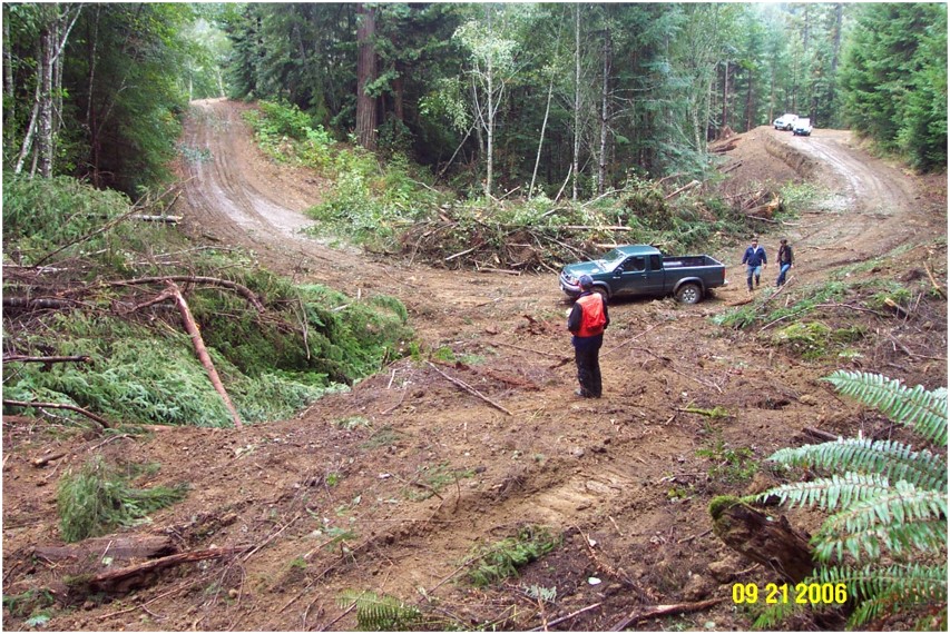  In a forest, a team stands on the curve of a dirt road that looks degraded, with piles of cut-down vegetation (branches, logs, etc.).