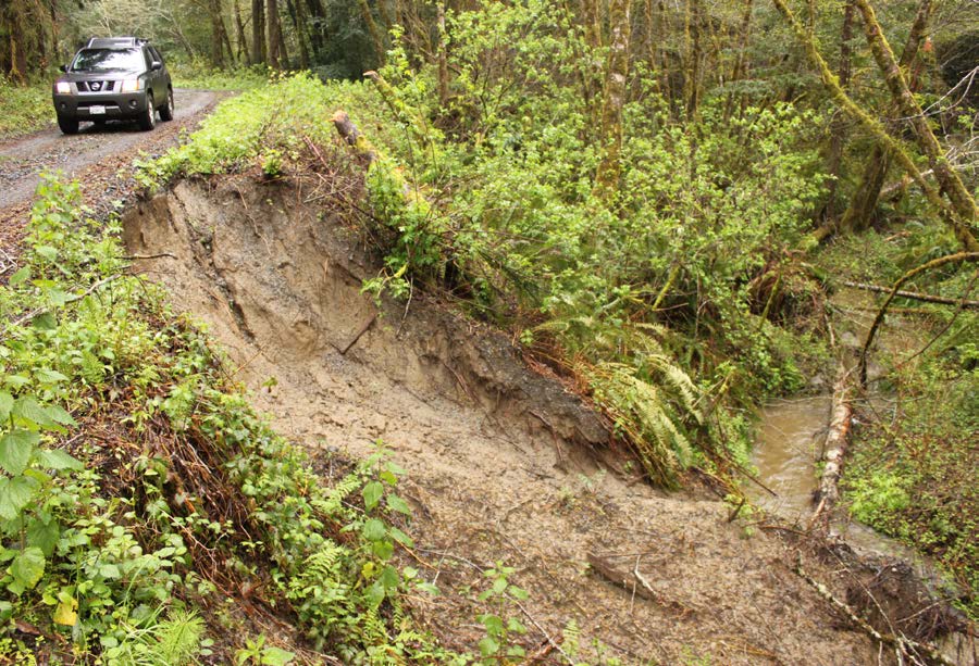 On another forest road, an entire section of the fill slope has eroded into the stream. 