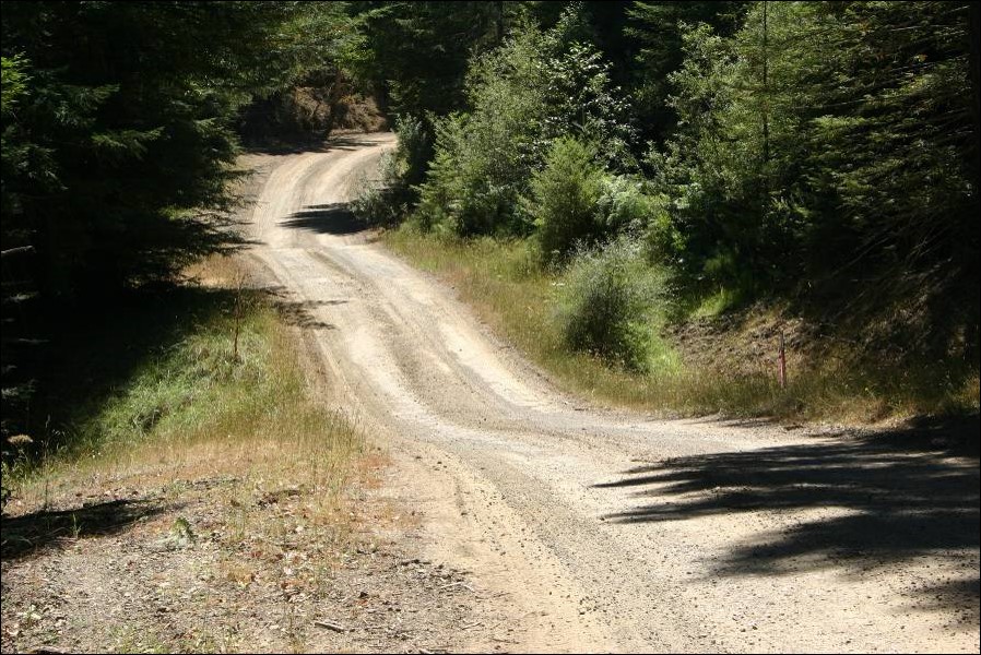 A smooth road with two rolling dips in a forested area.