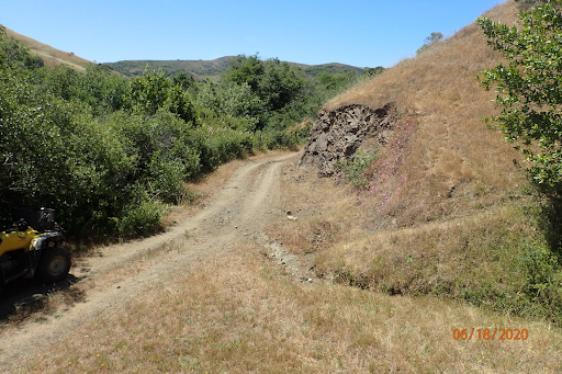 A two-track dirt road crosses the image. To one side is a steep hill that shows signs of erosion, and a small gully runs down into the road. On the other side of the road, trees line the riparian zone of Walker Creek.
