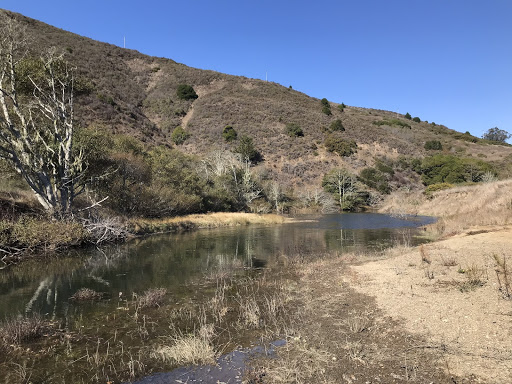 Image is taken from a flat area of the dirt streambank, looking along the stream, which is flat and about 30 feet across. There are some trees and shrubs on the opposite bank, and the grasses on the hill in the background and the floodplain in the foreground are brown.