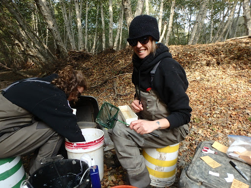 In a forested area, two people sit on industrial-type buckets on the leafy ground. One, with a black knit cap, sunglasses, and waders on, smiles at the camera, while the other, also wearing waders and sunglasses, reaches into a bucket placed between them. The smiling person is holding a small fish net and a rectangular plastic box on her lap. Also next to them appears to be more equipment, including scissors, a Sharpie, post-it notes, and another bucket.