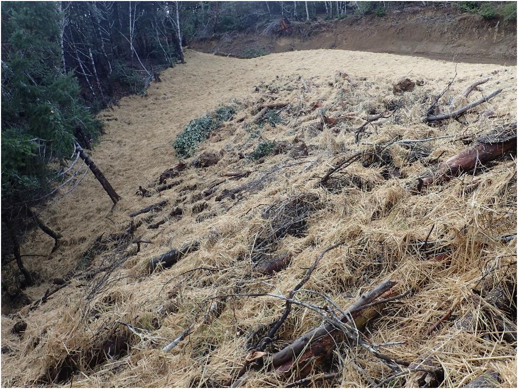 This bank has been fixed by a re-grading. It now slopes gently and evenly away from the road.