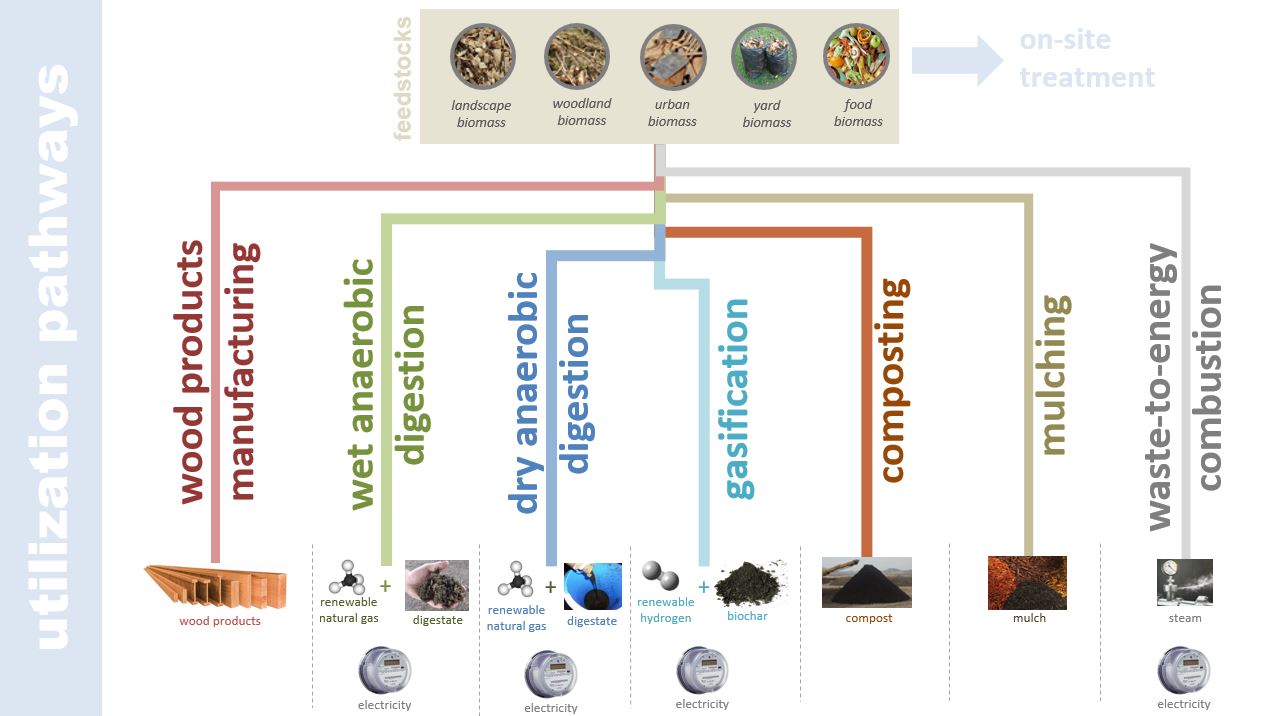 Marin Biomass Project